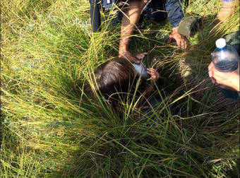 A Real-Life Lassie Saved His Tiny Human Friend From the Siberian Wilderness