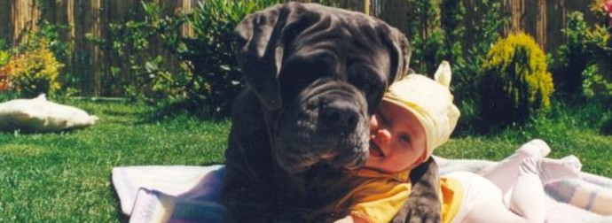 Your Cheeks Will Hurt From Smiling When You See These Adorable Dog And Baby BFFs