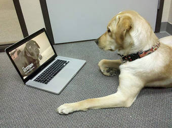 These 18 Savvy Pets Know Their Way Around Technology Better Than You Do