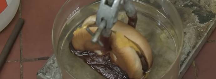 What Happens When You Dissolve A McDonald’s Cheeseburger In Acid Is Disgusting