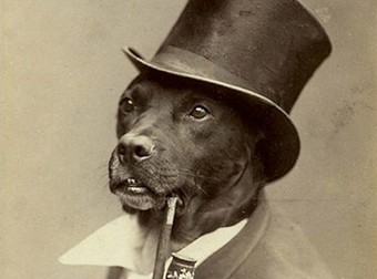 These 26 Vintage Pictures Of Pets Prove That Nothing Has Changed In 100 Years