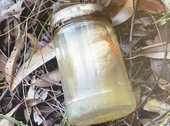 One Man Stumbled Across The Most Disturbing Discovery In His Own Woods