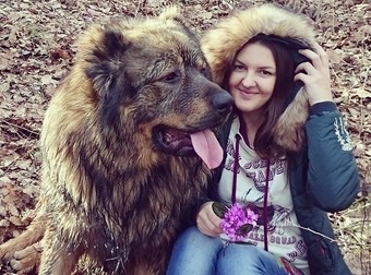 These 28 Adorably Ginormous Dog Breeds Are Bigger Than You Ever Imagined