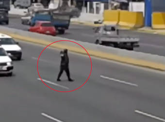 Watch As This Police Officer Walks Into Highway Traffic To Save A Lost Pup