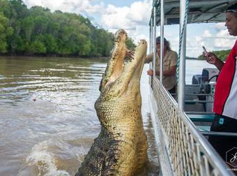 When You See These Photographs, You’ll Be Booking Your Flight To Australia In No Time.