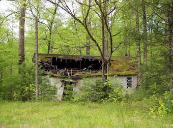 What One Hiker Found In The Mountains of Tennessee Is Beyond Incredible.