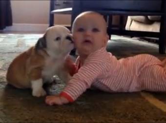 This Tiny Baby’s Reaction To A Bulldog’s Puppy Kisses Is Absolutely Adorable