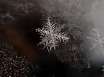 Witness The Beautiful Birth Of A Unique Snowflake In This Amazing Video