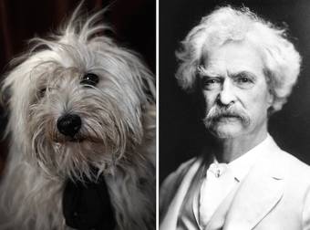 Photographer Compares Shelter Dogs To Famous Writers In Adorable Photo Series