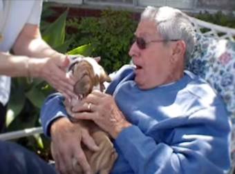 You’re NEVER Too Old To Love A Puppy – This Heartwarming Video Proves It