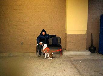 This Man Chose To Live On The Street Instead Of Giving Up His Pit Bull Pup