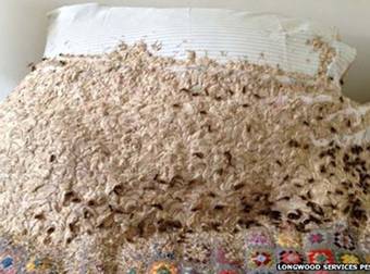 What This Family Found Living In Their Spare Bedroom Will Give You Nightmares.