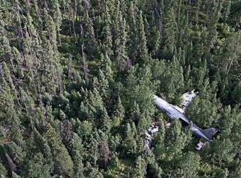 These Abandoned Planes Of Various Origins Look Hauntingly Beautiful In The Wild