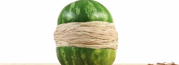 They Wrap A Watermelon In Rubber Bands… And What Happens Is Crazy