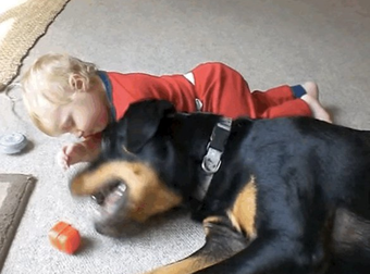 It’s Simple: Dogs And Babies Should Always Be Together. It’s So Cute.