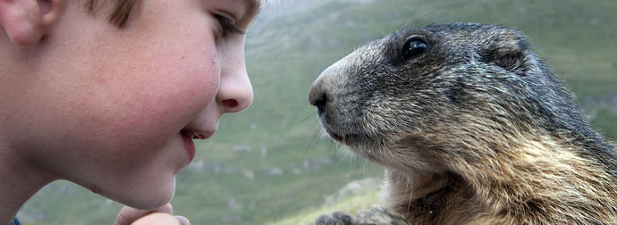 This Little Boy Has An Unusual And Totally Adorable Group Of Vacation Friends.