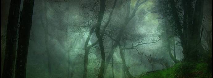 These Creepy Woods Will Make You Want to Run (Through The) Forest, Run!