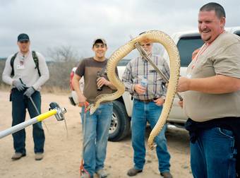 Every Year, This Town Is Completely Overrun By These Reptiles – Intentionally