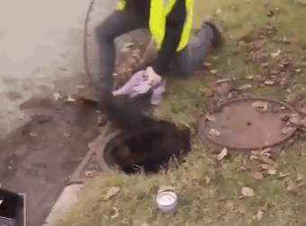 Workers Come To The Rescue Of These Adorable Kittens Stuck In A Storm Drain.