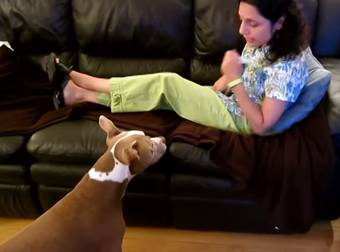 This Pit Bull Is Helpful And Incredibly Smart – I Definitely Need Her!