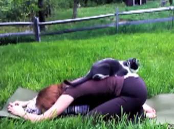 These Pets Don’t Seem To Want Their Owners To Finish Their Morning Yoga