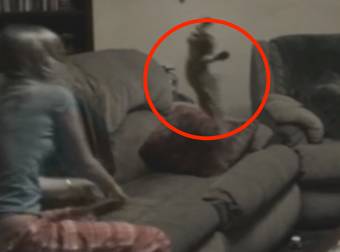 This Woman Was On Her Couch When The Cutest Thing Ever Happened