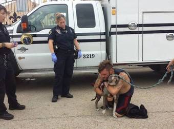 The Bond Between This Man And His Dog Is Going To Move You So Deeply.