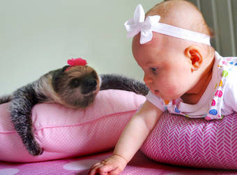 This Baby And Sloth Became Best Friends And They’re Absolutely Adorable