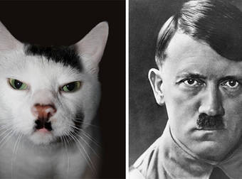 Holy Double Take – These 20 Cat Doppelgängers Are Too Awesome To Be Real