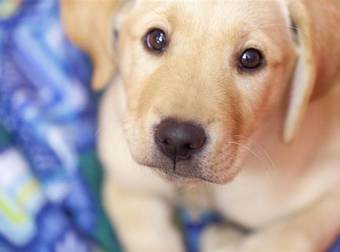 The Newest TODAY Show Cast Member Is Definitely The Cutest Yet