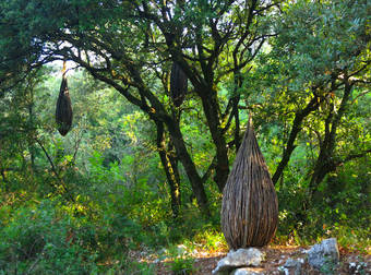 A Walk In The Woods Turns Into A Magical Journey Thanks To One Artist