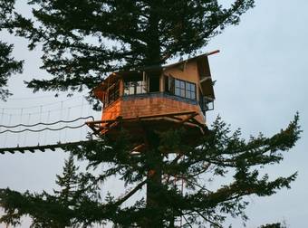 This Man Made His Dream Treehouse an Incredible Reality. I’m Actually Jealous.