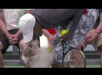 These ADORABLE Dogs Might Just Put Traditional Ball Boys Out Of Business