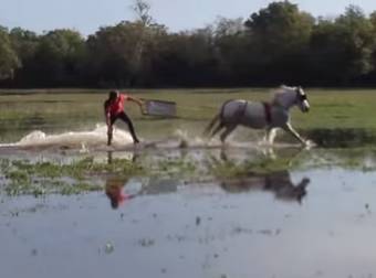 Want To Go Wakeboarding But Don’t Have A Boat? Get A Horse Instead!