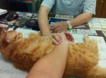 This Clinic In China Keeps Their Patients Calm And Comfy With A Little Help…