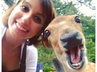 No One Takes Selfies Like These 20 Hysterical Animals…I Can’t Stop Laughing