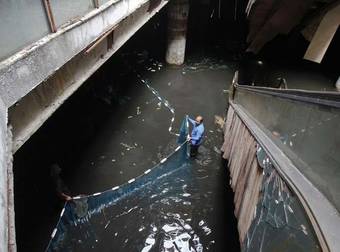 After Decades, The Fish In The Basement Of This Abandoned Mall Are Being Removed