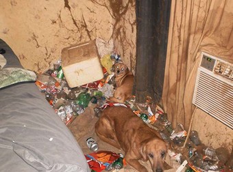 What Police Found Inside This Mobile Home Will Shock You To Your Core