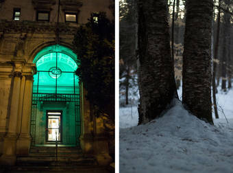 These Magical Forest Photos Give A New Meaning To The Concept Of Treehouses