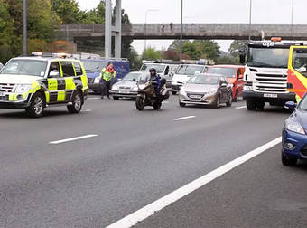 Animal Rescuers Close Down A Highway To Save The Life Of A Badly Injured Goose.