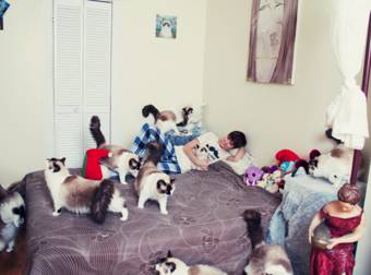 These Photos Might Be Too Much For Even The Biggest Cat Lover, Because, Whoa