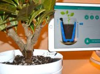 Watering Your Potted Plants Just Changed Forever With This Awesome Invention