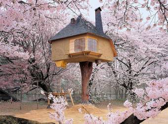 Nine Unique Tree Houses That Will Make You Want To Go Live In the Woods