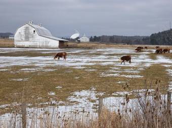 Most People Would Hate Living In This Town, And For Good Reason