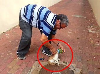 Man Rescues A Hungry Kitten That Became Stuck While Looking For Food