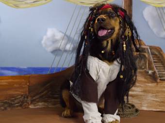 Adorable Puppies Recreating Disney Movies Could Melt The Iciest Heart On Earth