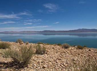 Walker Lake Has A Creepy, Crawly Secret That Only Shows Itself During The Summer