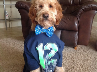 If You Think You’re A Super Fan, These Excited Animals Will Put You To Shame