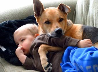 These Snuggle Buddies Watching Cartoons On A Sick Day Are Too Cute To Handle