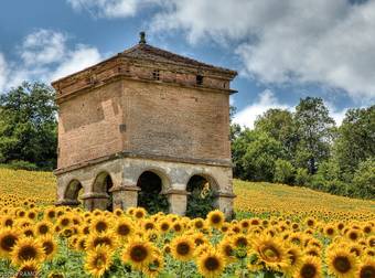 These Adorably Tiny Castles Were Built in France, But They’re Not for Kids.